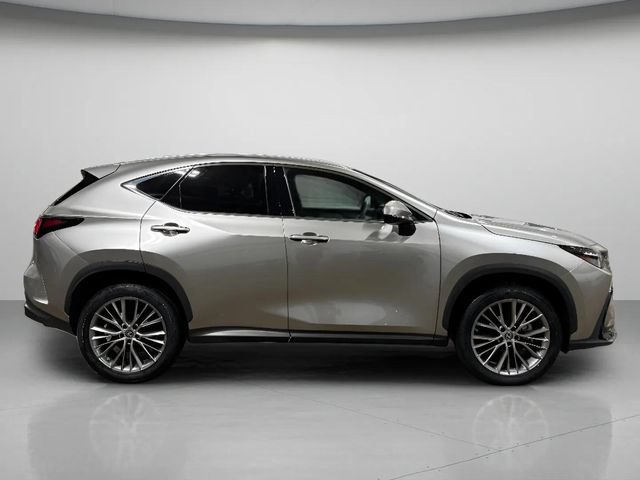 Used 2023 Lexus NX 350 AWD image 3