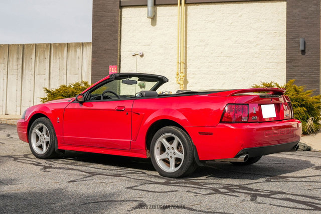 Used 1999 Ford Mustang Cobra RWD image 6