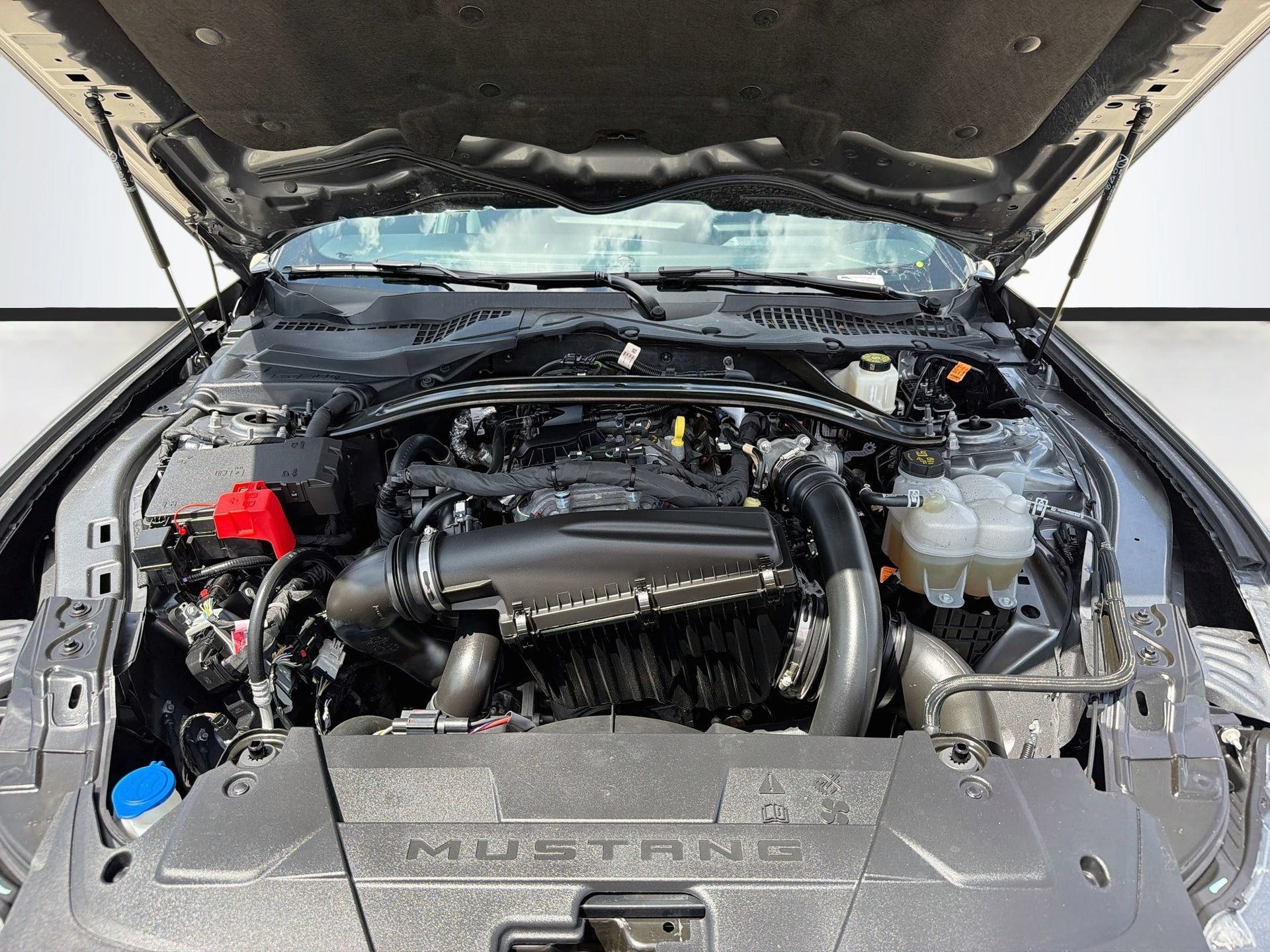 Used 2026 Ford Mustang Premium RWD image 30