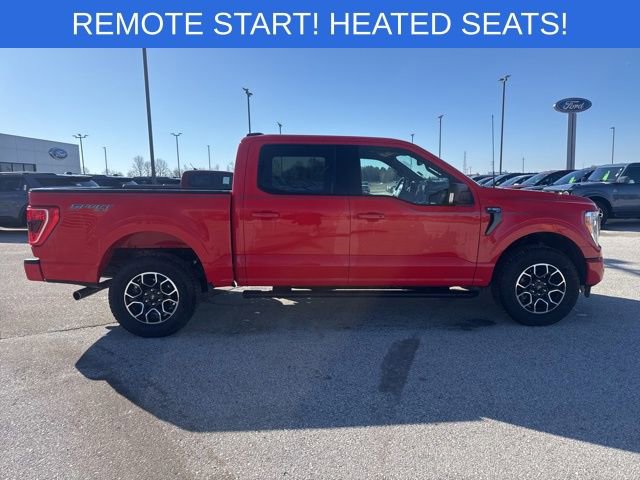 Used 2023 Ford F150 XLT w/ Equipment Group 302A High image 2