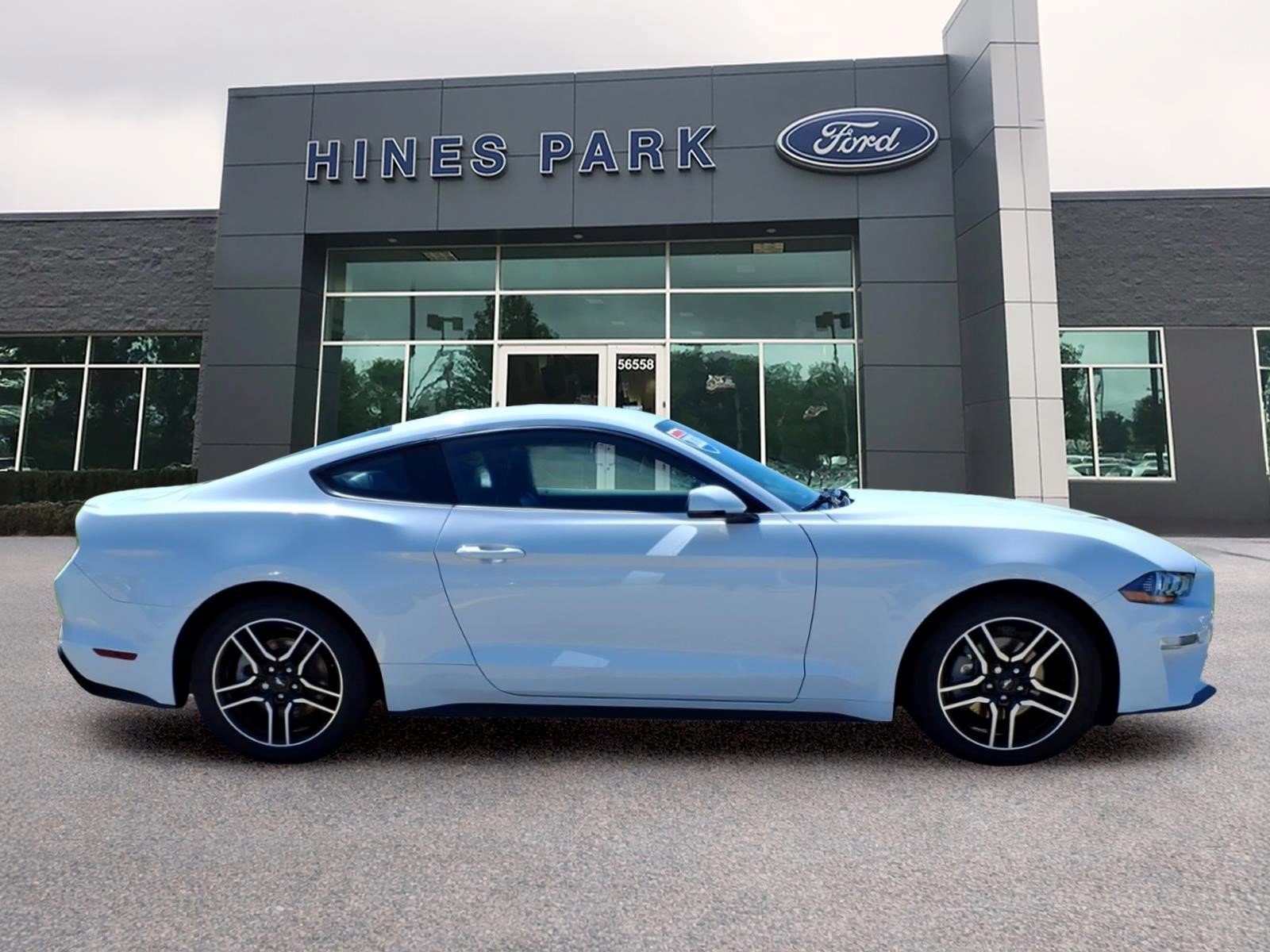 Used 2020 Ford Mustang Premium w/ Equipment Group 201A RWD image 2