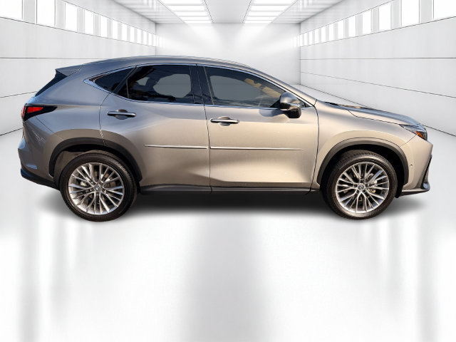 Certified 2025 Lexus NX 350 AWD w/ Rear Seat Package image 4