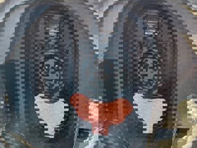 Used 2018 Chevrolet Bolt LT image 22