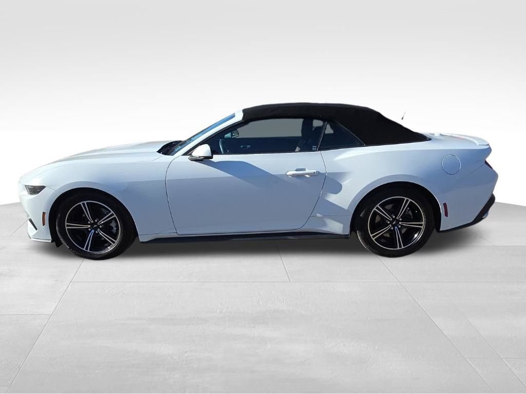 Used 2025 Ford Mustang Premium image 21