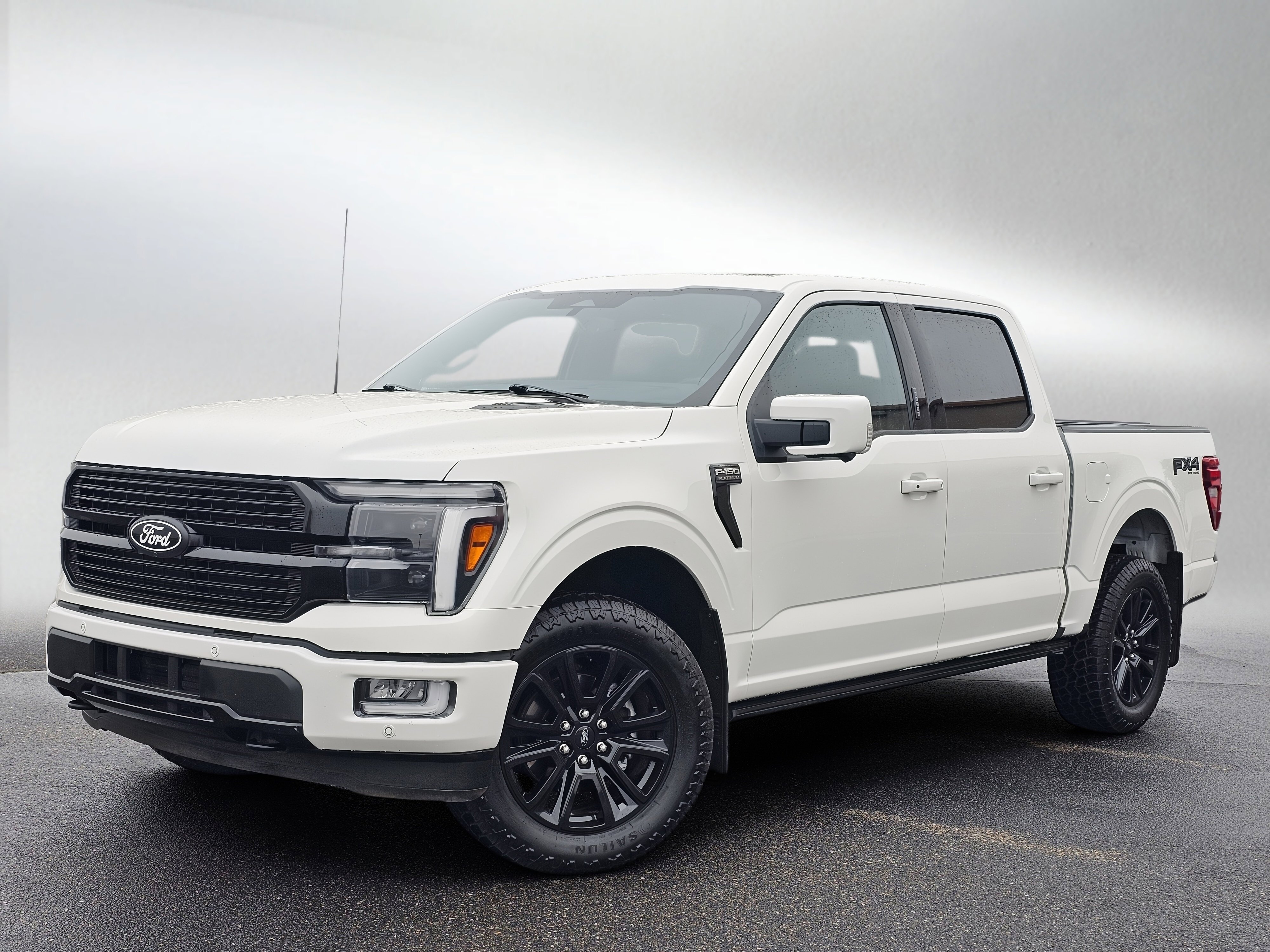 Used 2024 Ford F150 Platinum w/ FX4 Off-Road Package image 1