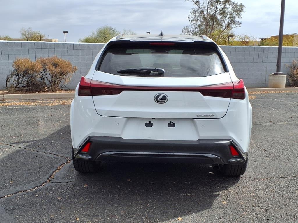 Used 2024 Lexus UX 250h F Sport image 6