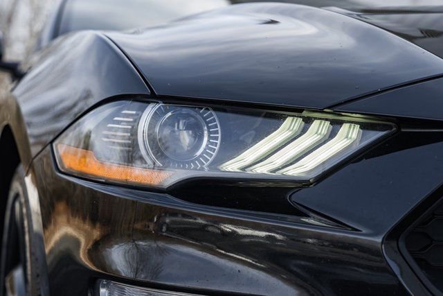 Used 2021 Ford Mustang Premium w/ Equipment Group 201A image 15