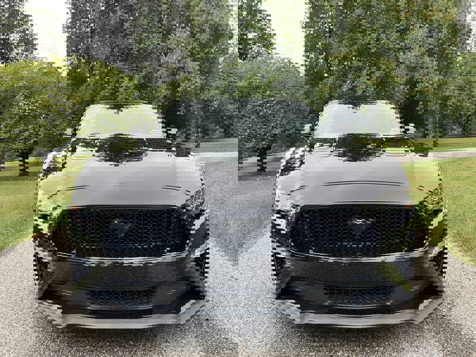 Used 2019 Ford Mustang GT Premium w/ Enhanced Security Package image 3