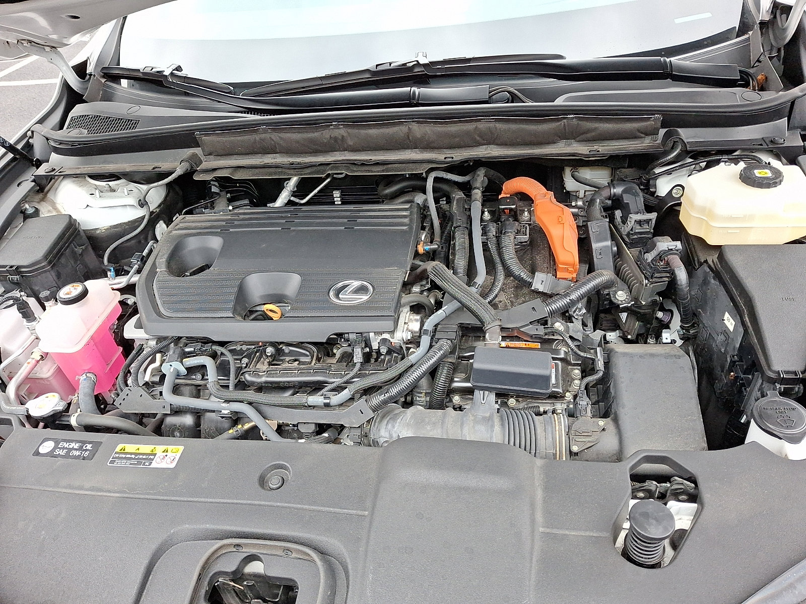 Certified 2024 Lexus RX 350 w/ Convenience Package image 28