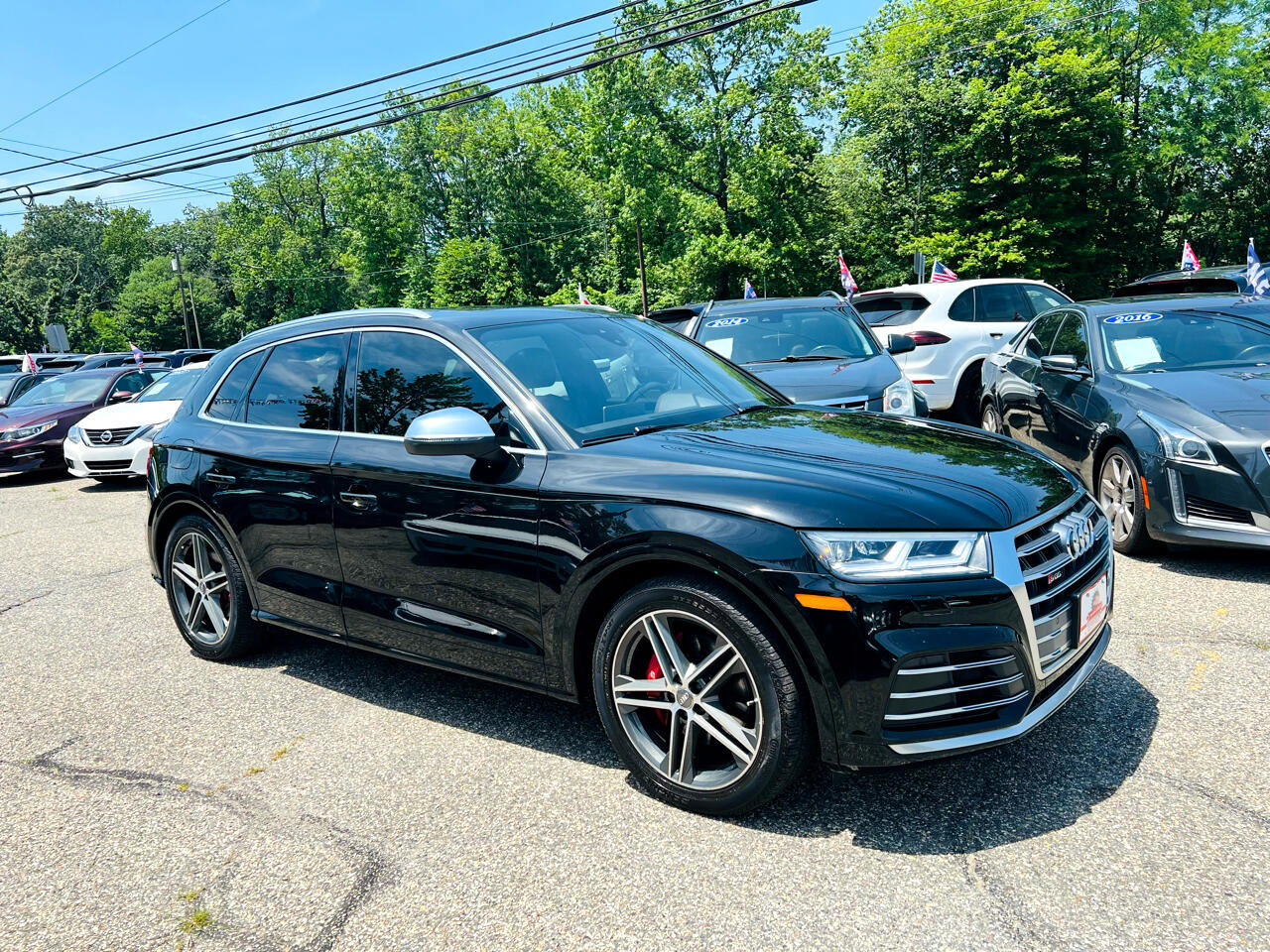 Used 2019 Audi SQ5 Premium Plus w/ Premium Plus Package image 9