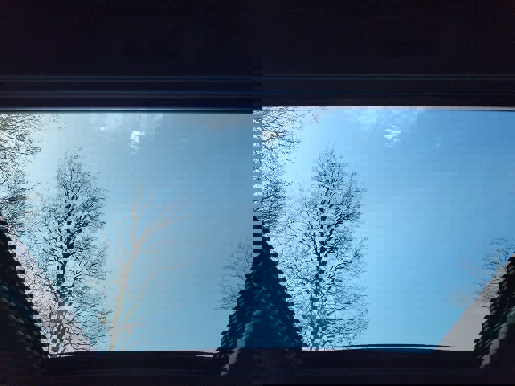 New 2026 Subaru Forester Wilderness w/ Wilderness Plus Package image 36