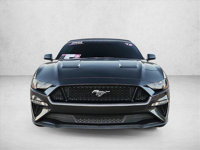 Used 2019 Ford Mustang GT Premium w/ Equipment Group 401A RWD image 2