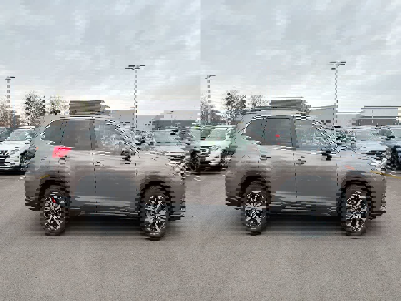 Certified 2023 Subaru Forester Limited image 14