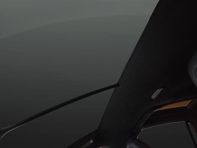 Used 2023 Tesla Model X Plaid image 7