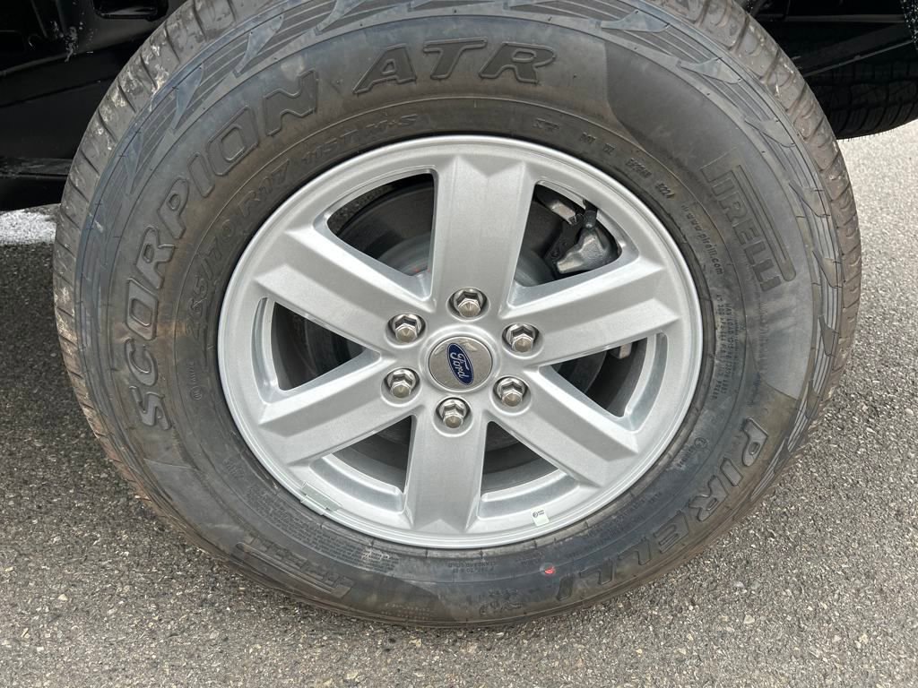 New 2025 Ford F150 XL w/ Equipment Group 103A High image 29