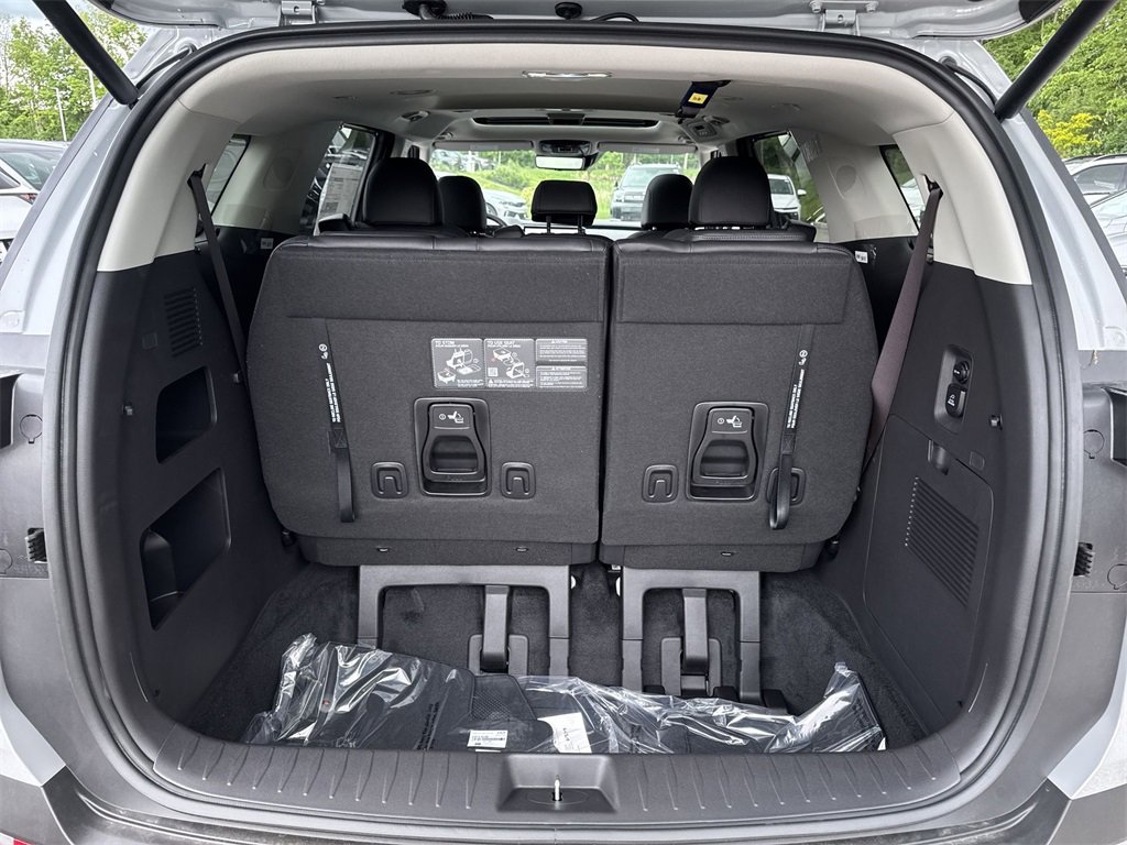 New 2026 Kia Carnival SX Prestige image 28