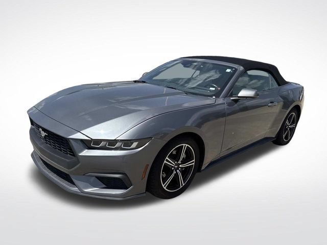 Used 2024 Ford Mustang Premium RWD image 4