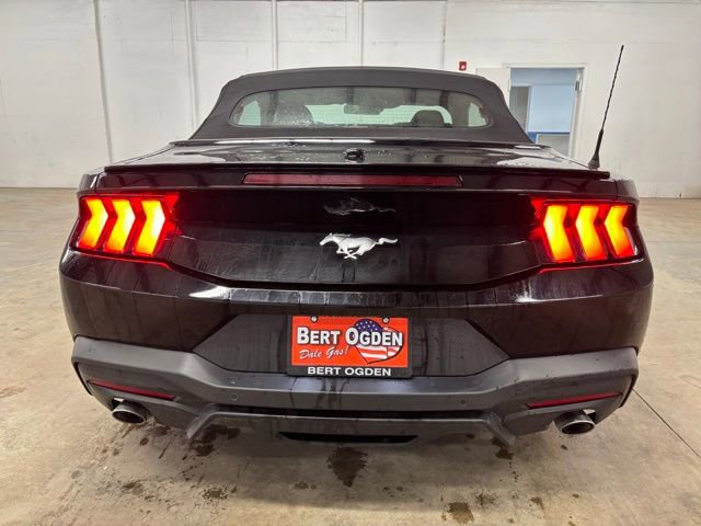 Used 2025 Ford Mustang Premium image 6