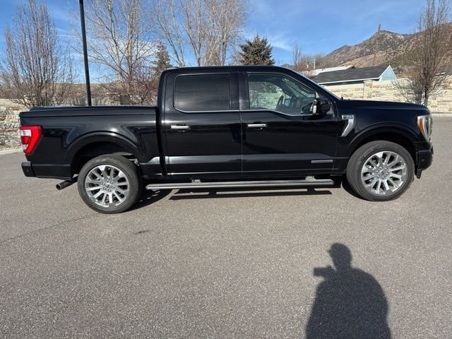 Used 2021 Ford F150 Limited image 12