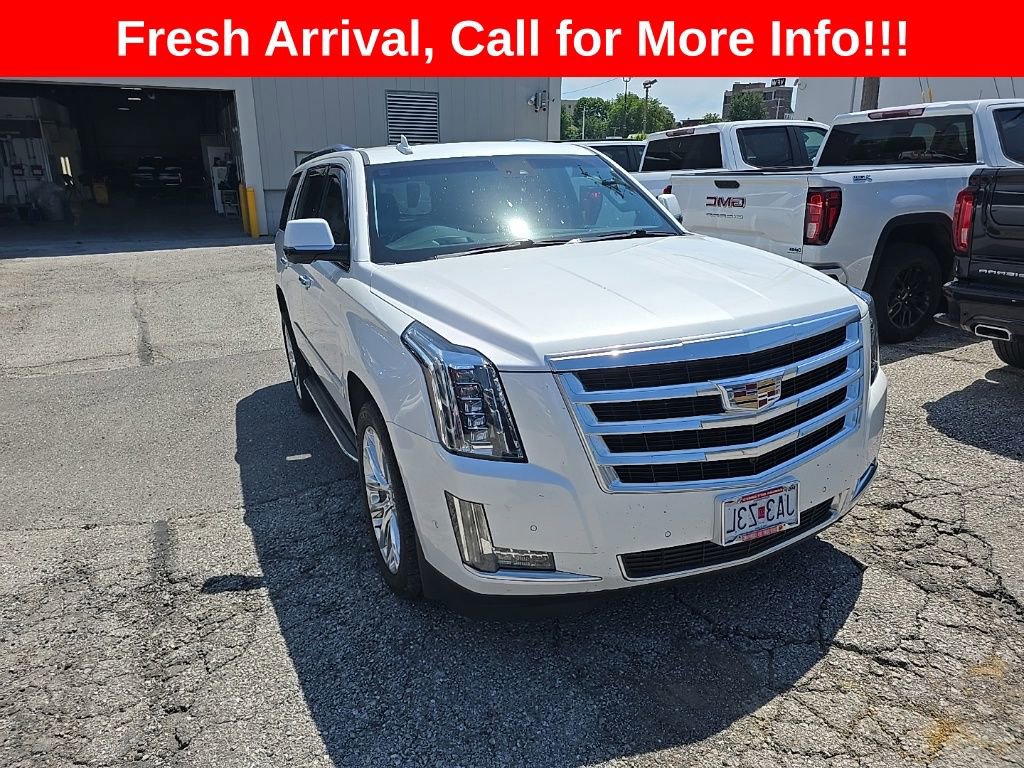 Used 2019 Cadillac Escalade Luxury AWD/4WD image 1