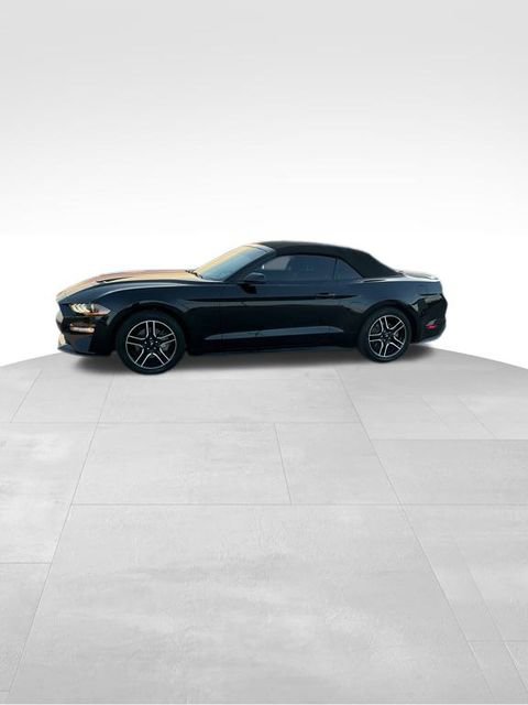 Used 2019 Ford Mustang Premium image 3
