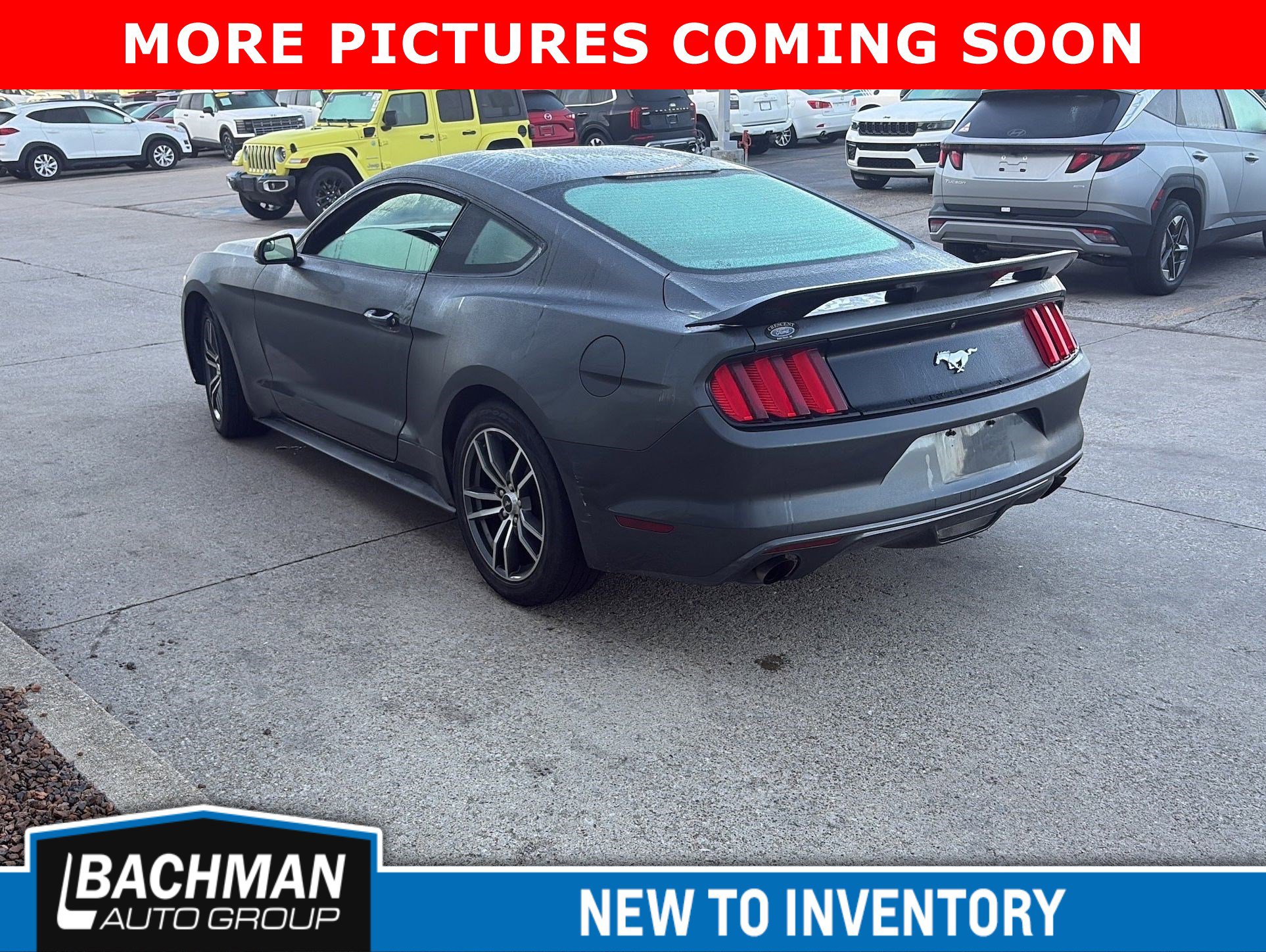 Used 2017 Ford Mustang EcoBoost image 5