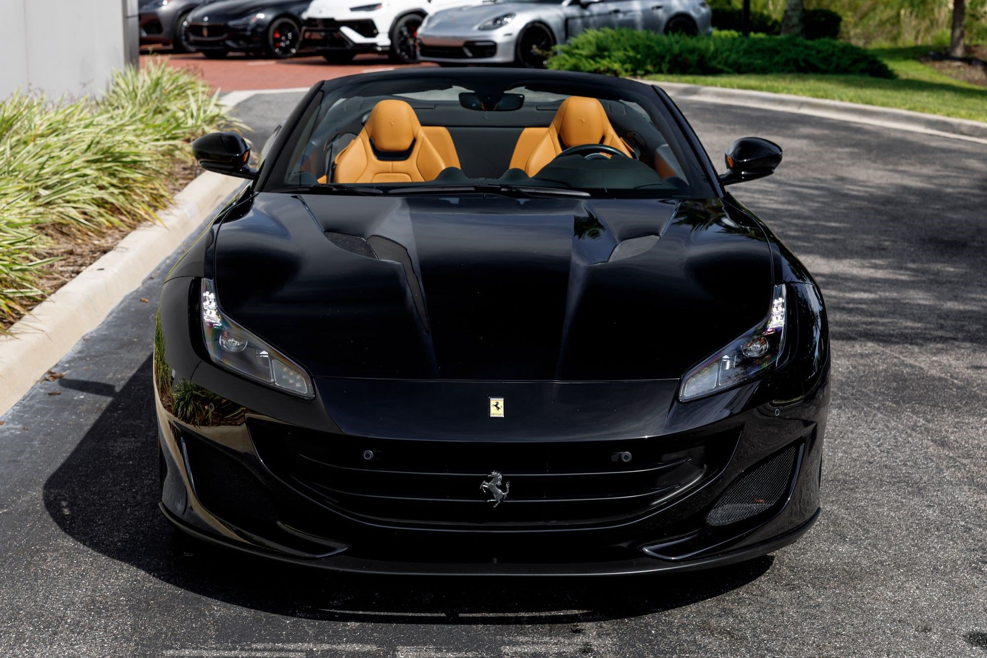 Used 2019 Ferrari Portofino RWD image 8