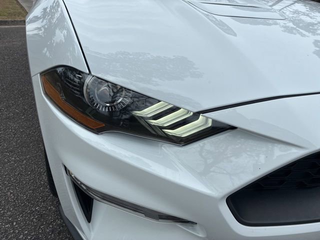 Used 2022 Ford Mustang Coupe w/ Equipment Group 101A image 9