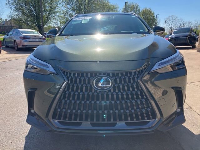 Used 2025 Lexus NX 350 AWD w/ Luxury Package image 8