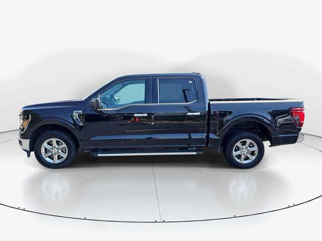 Used 2025 Ford F150 XLT w/ Equipment Group 301A Standard RWD image 6