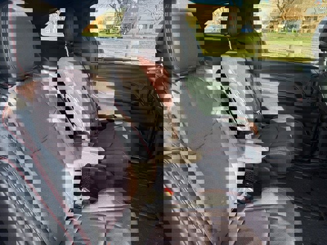 Used 2025 Toyota Sienna XSE image 14