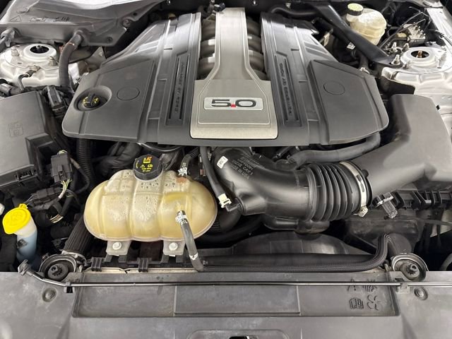 Used 2019 Ford Mustang GT Premium w/ Equipment Group 401A image 33