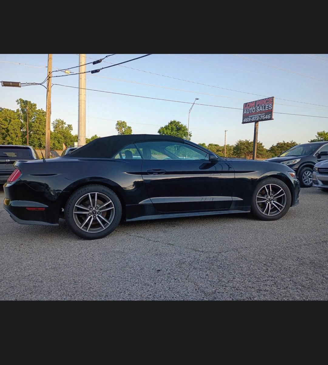 Used 2017 Ford Mustang Premium RWD image 6