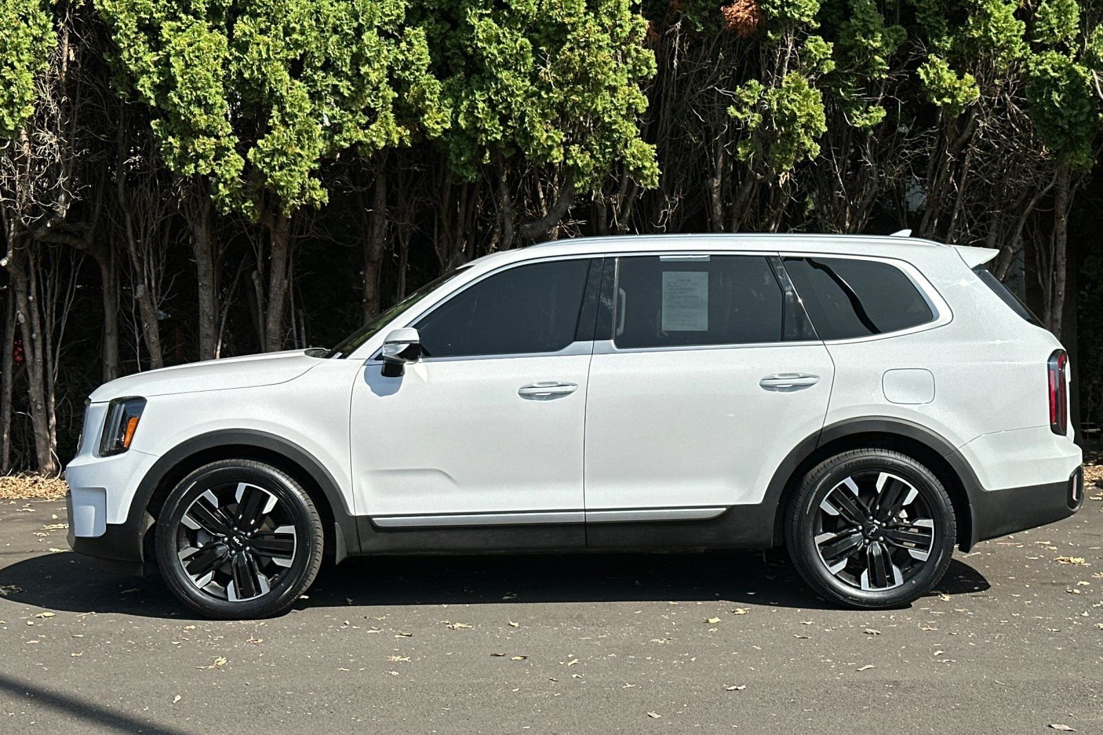 Used 2025 Kia Telluride SX Prestige AWD/4WD image 7