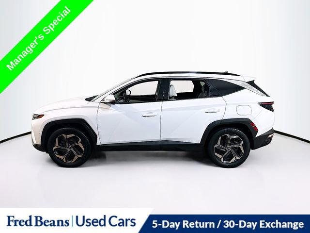 Certified 2023 Hyundai Tucson Limited image 8