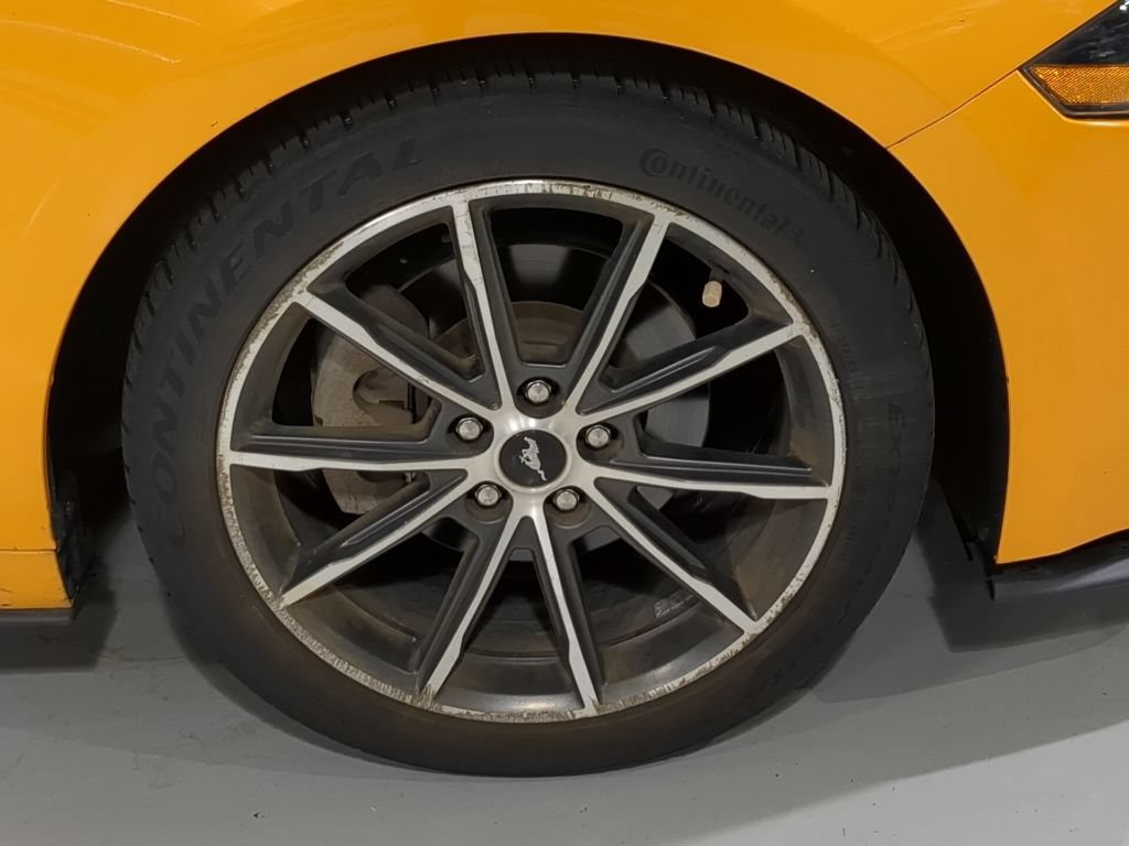 Used 2019 Ford Mustang Premium w/ Equipment Group 201A RWD image 4
