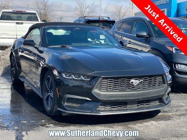 Used 2024 Ford Mustang Premium