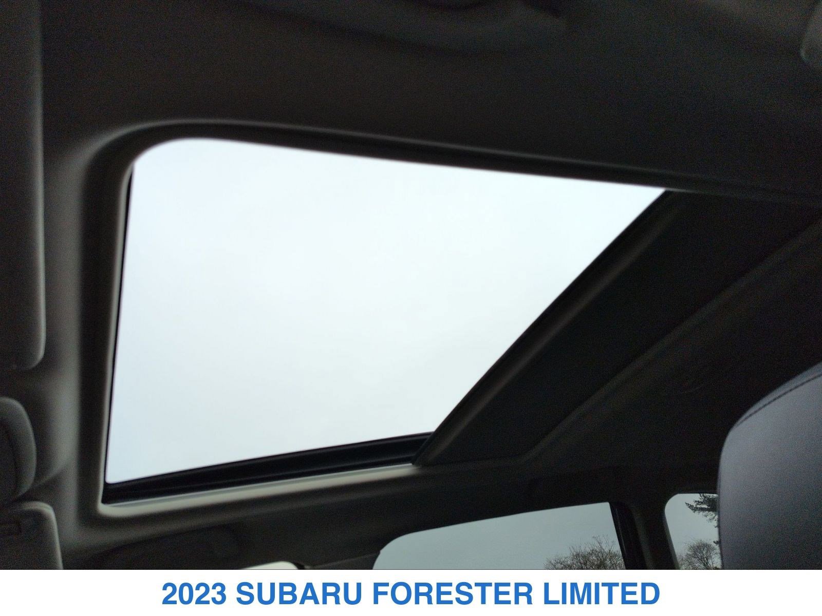 Used 2023 Subaru Forester Limited image 20