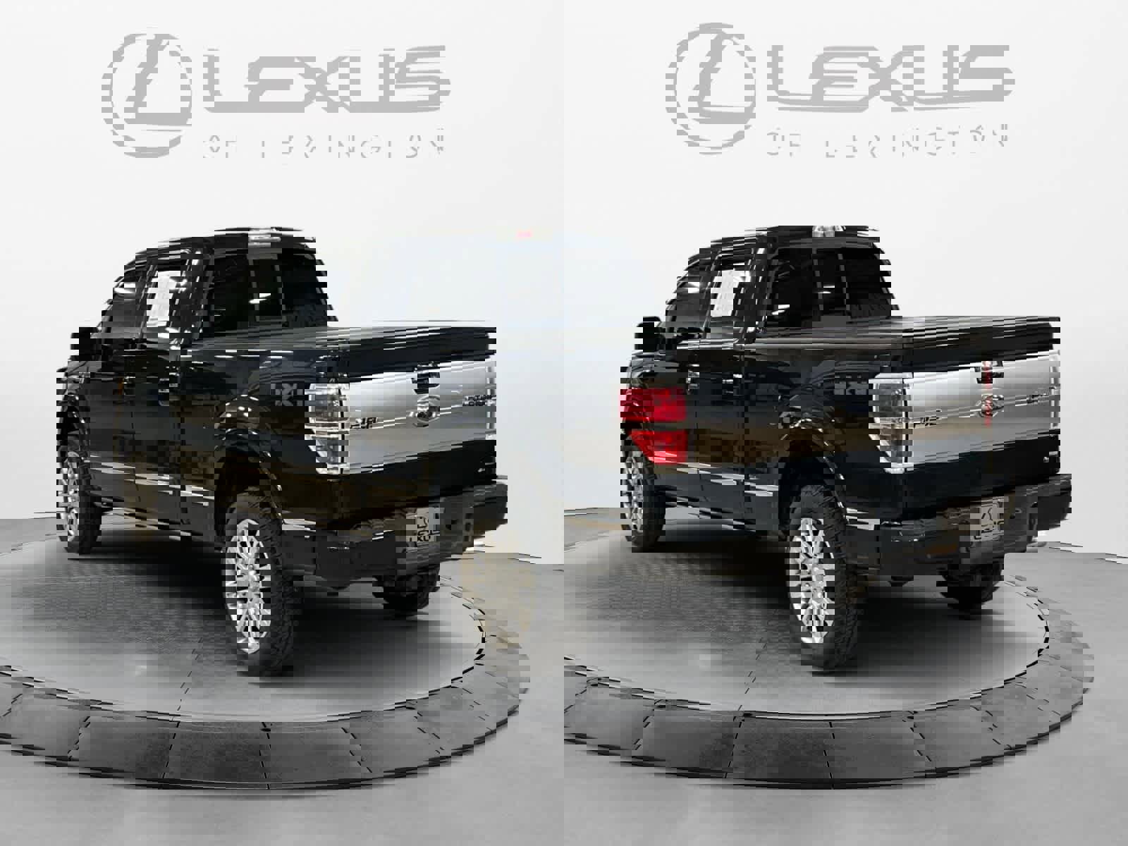 Used 2010 Ford F150 Platinum image 3