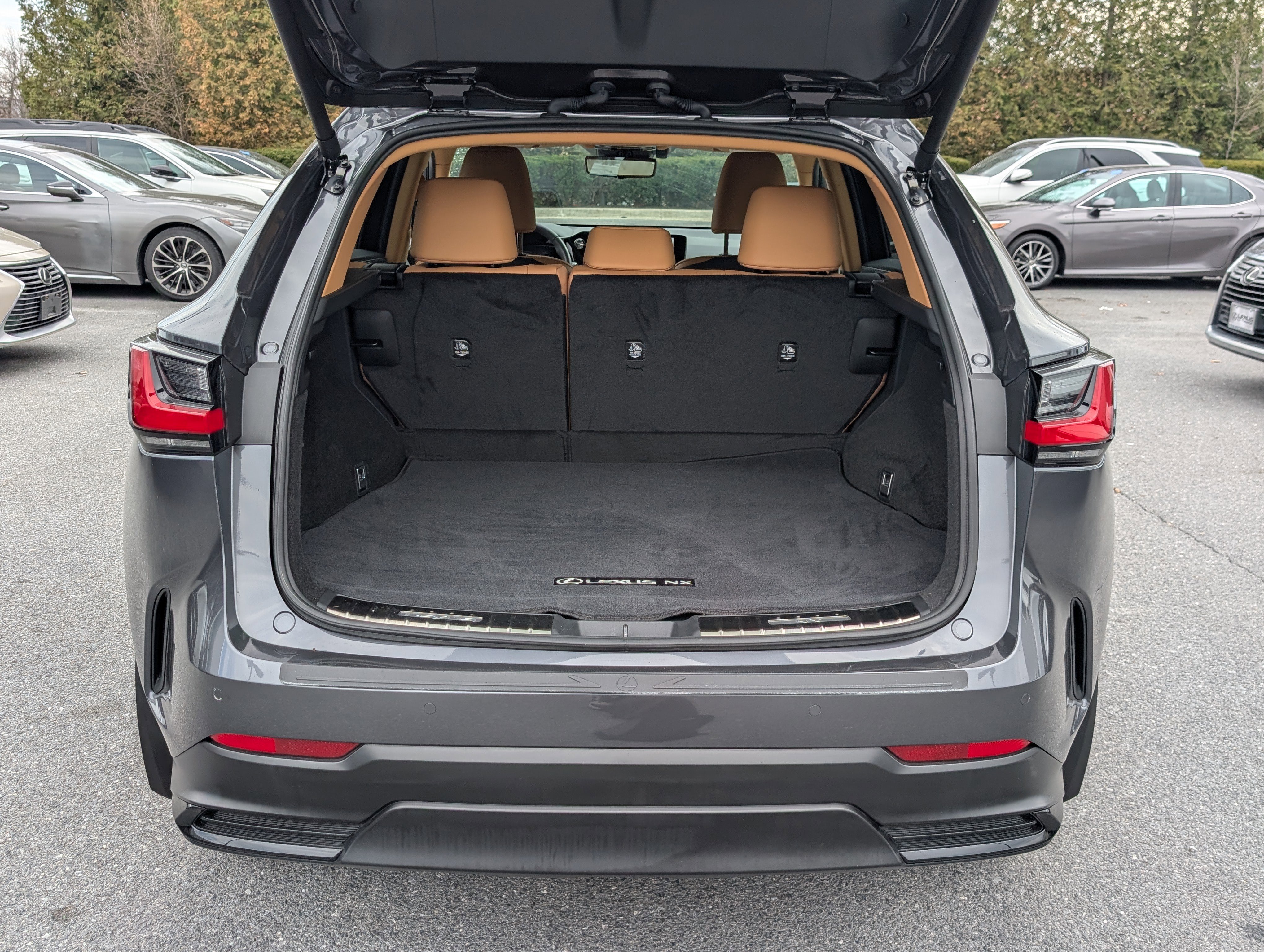 Certified 2024 Lexus NX 350h 350h Premium image 13