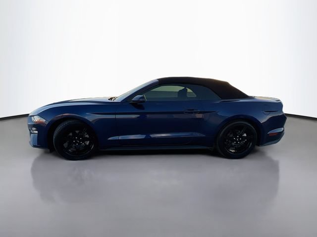 Used 2019 Ford Mustang Convertible w/ Equipment Group 101A RWD image 5