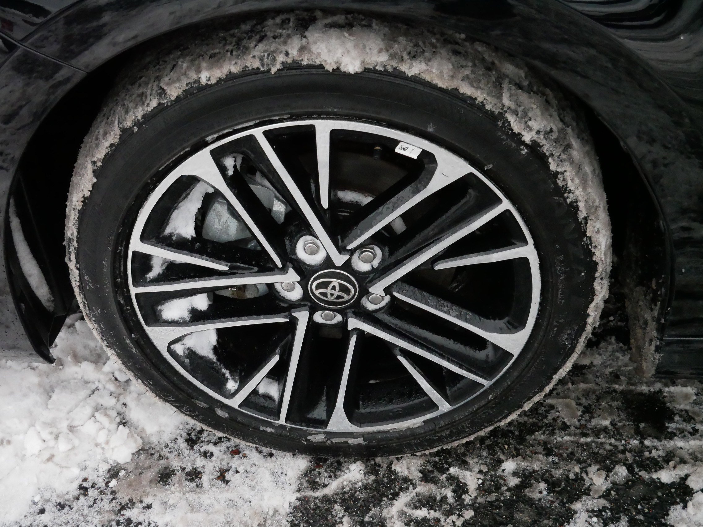 Used 2025 Toyota Camry XLE image 15