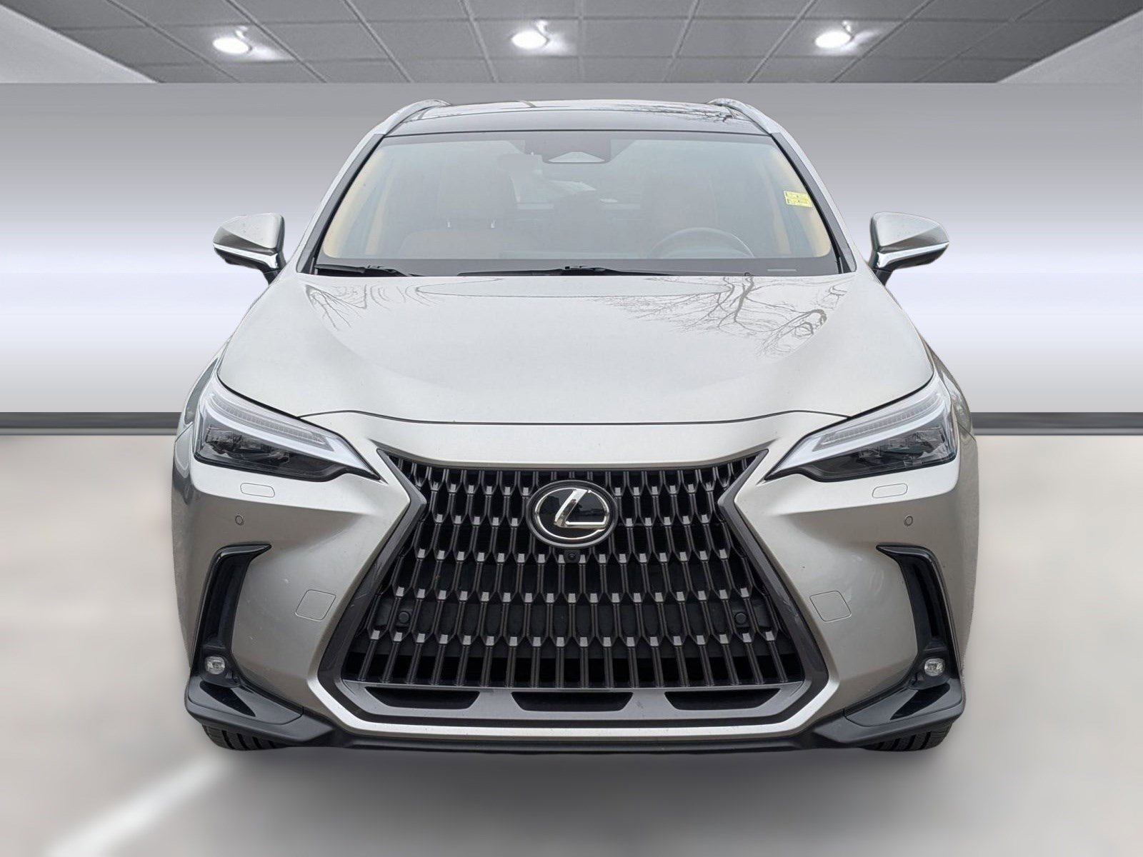 Used 2022 Lexus NX 350h AWD image 6