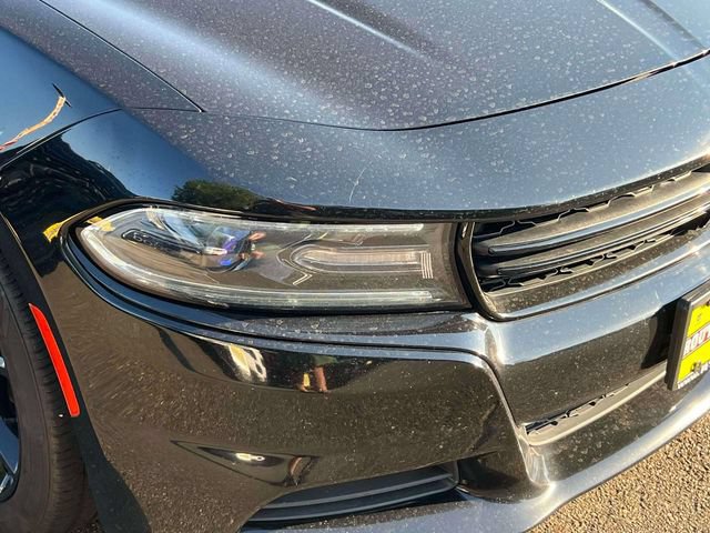 Used 2017 Dodge Charger SXT w/ Blacktop Package RWD image 7