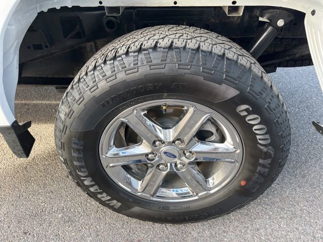 Used 2025 Ford F150 XLT w/ Equipment Group 301A Standard image 19