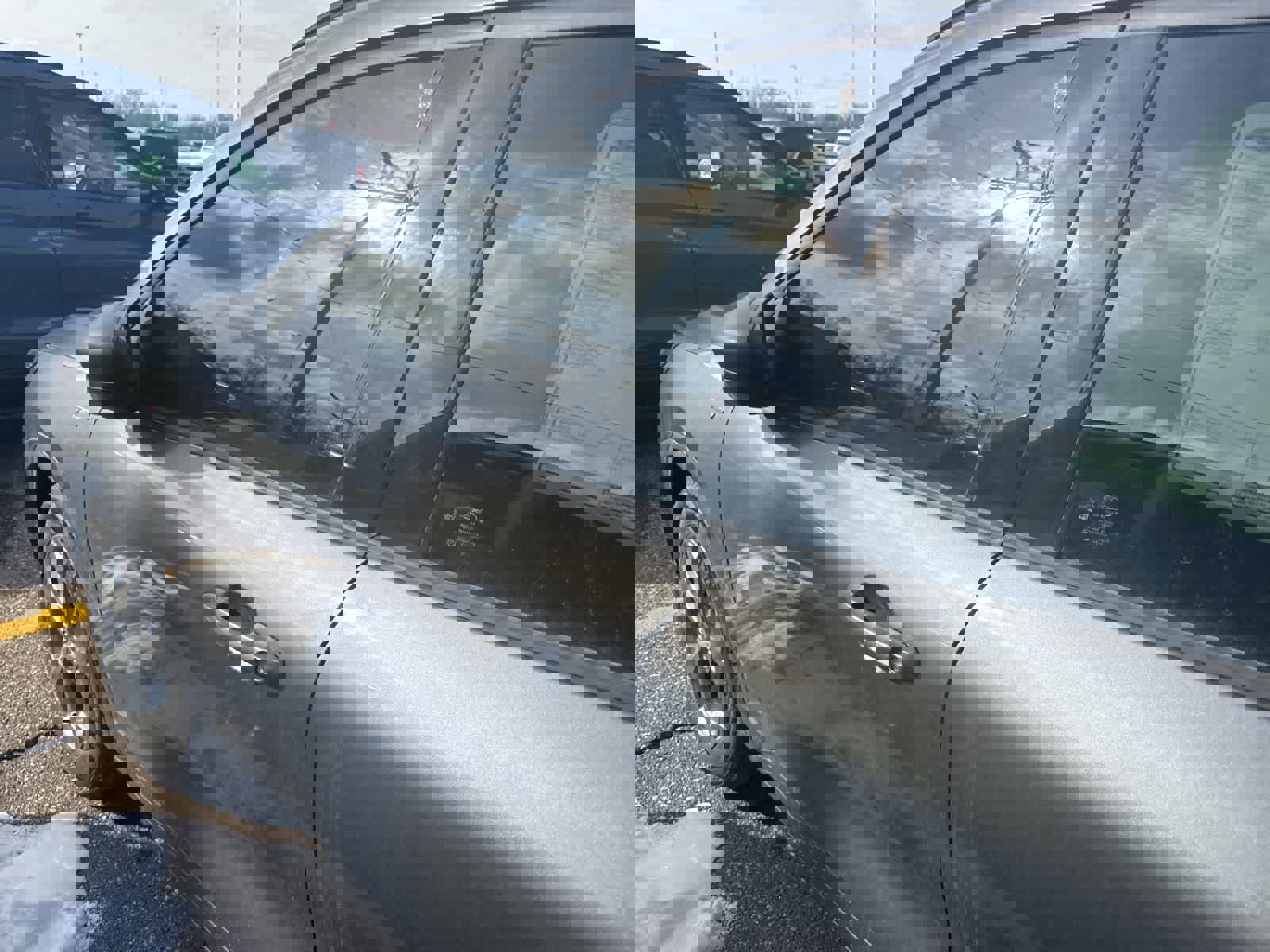 New 2026 Ford Escape ST-Line w/ Tech Pack #1 image 5