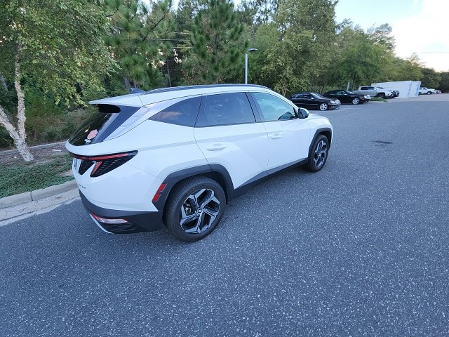 Used 2024 Hyundai Tucson Limited AWD/4WD image 14