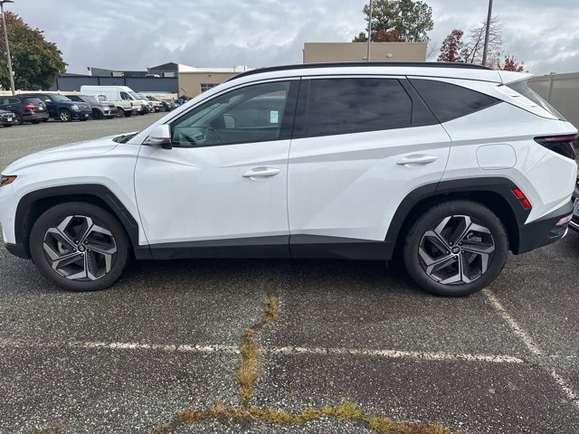 Used 2024 Hyundai Tucson Limited