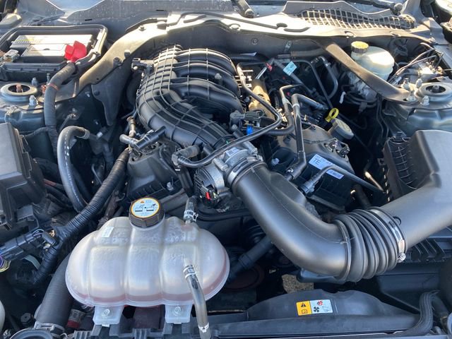 Used 2015 Ford Mustang Convertible w/ Equipment Group 051A image 16