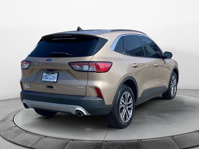 Used 2020 Ford Escape SEL FWD image 5